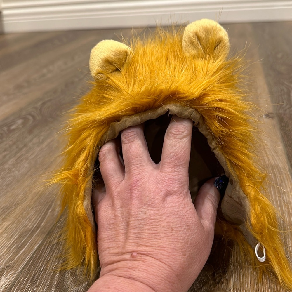 Lion hat